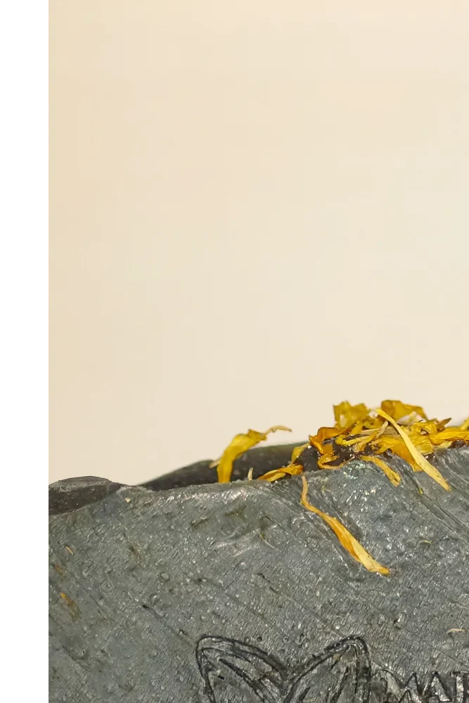 Charcoal & Calendula - Image 2